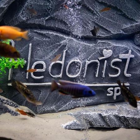 Hedonist-Belgrade Central Nest 外观 照片